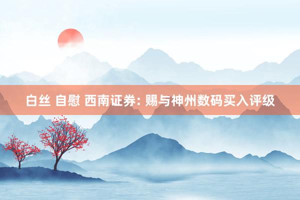 白丝 自慰 西南证券: 赐与神州数码买入评级