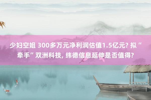 少妇空姐 300多万元净利润估值1.5亿元? 拟“牵手”双洲